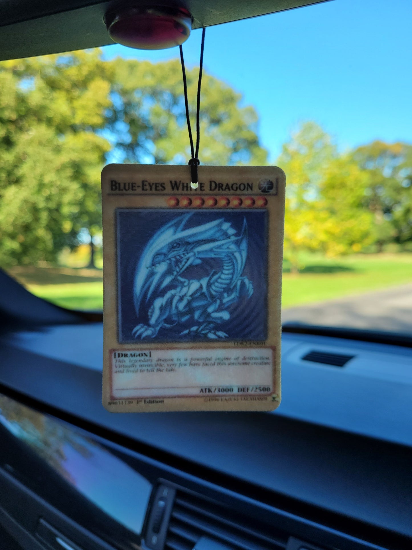 She's Got Them Blue Eyes