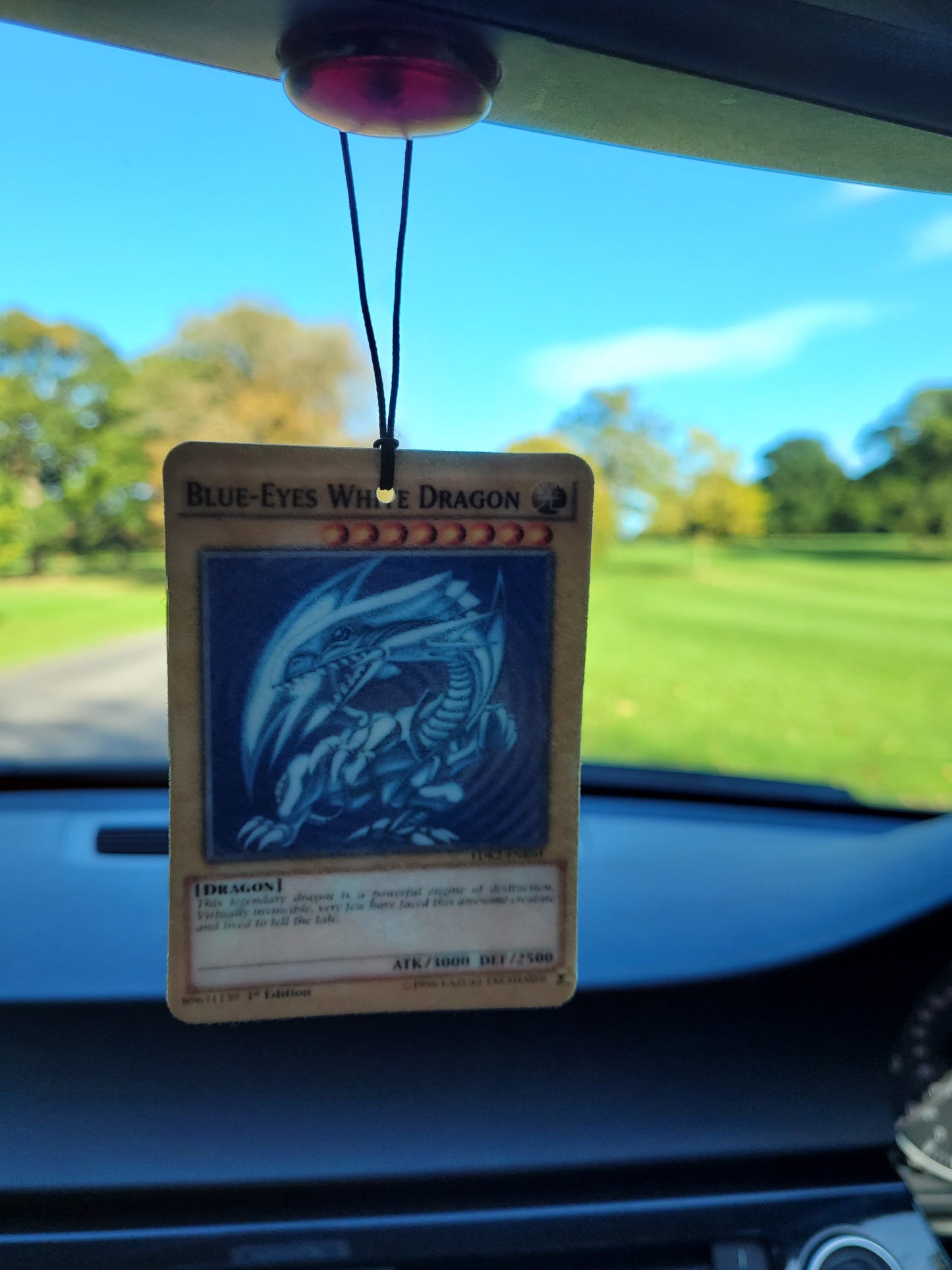 She's Got Them Blue Eyes